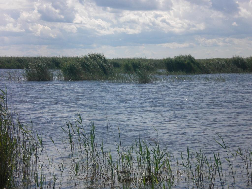 Ferienwohnungen Feldsee Illmitz Exterior foto