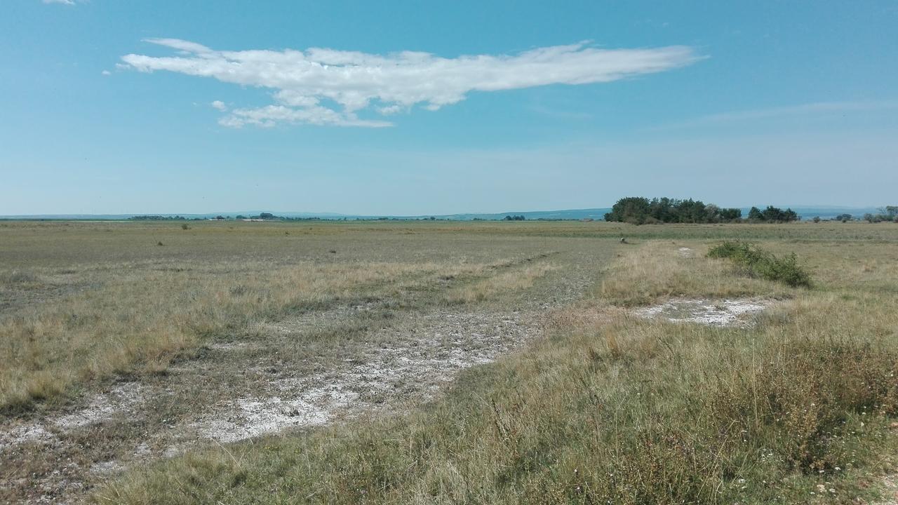 Ferienwohnungen Feldsee Illmitz Exterior foto