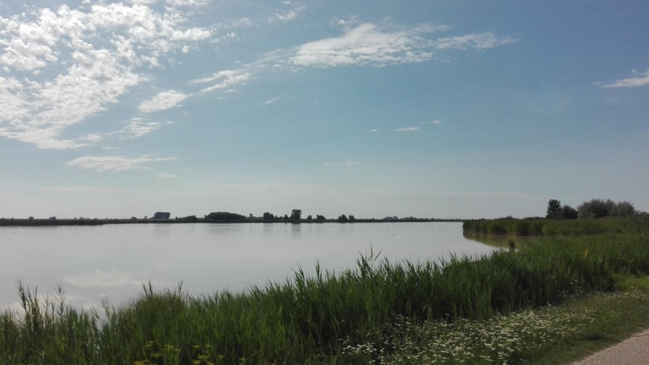 Ferienwohnungen Feldsee Illmitz Exterior foto